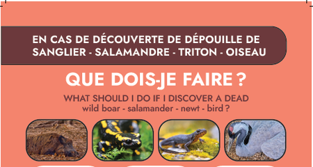 Illustration de l'actualité - cliquer pour agrandir