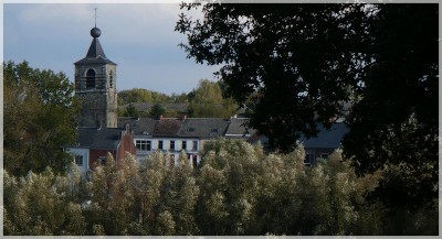 Bourlette forestière.jpg