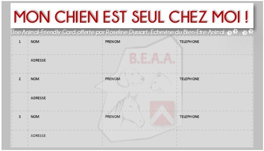 Chien BEAA 2 OK