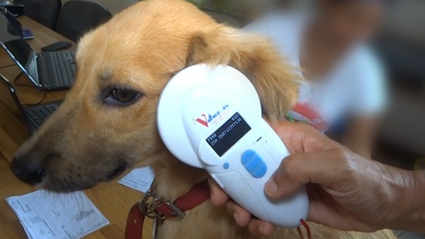 lecteur de puce electronique animaux spam