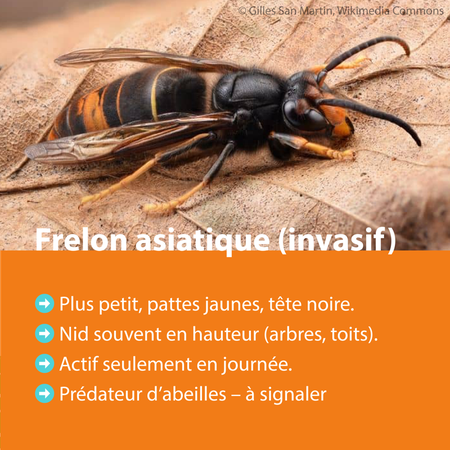 Illustration de l'actualité - cliquer pour agrandir